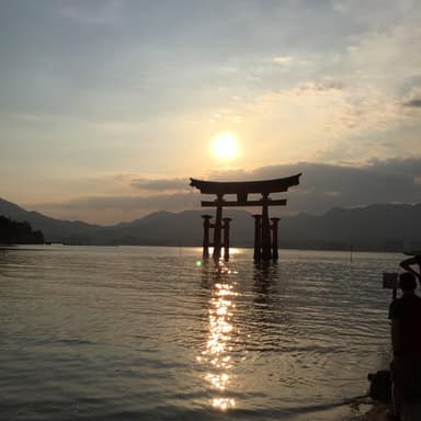 albumCoverUrl